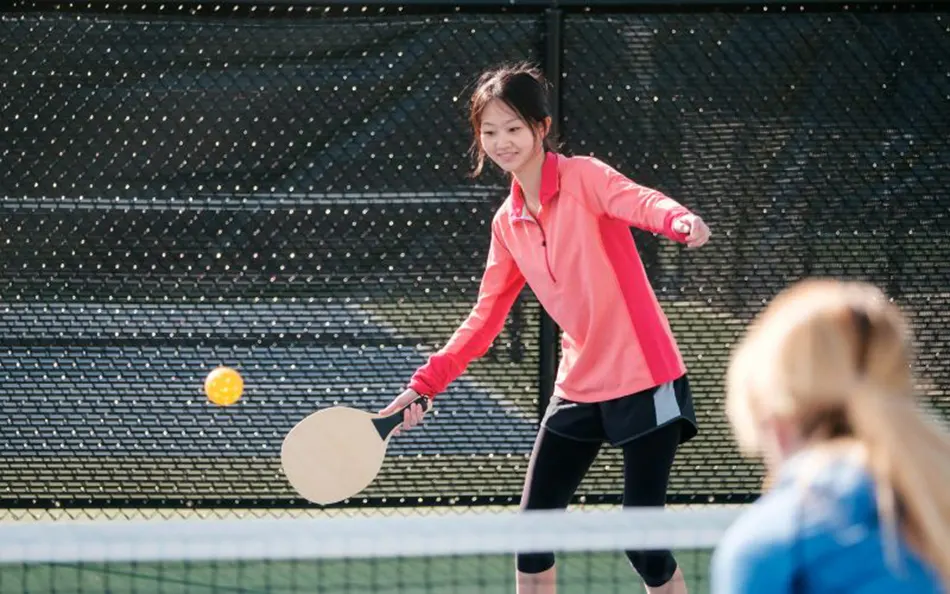 Pickleball Paddles For Spin