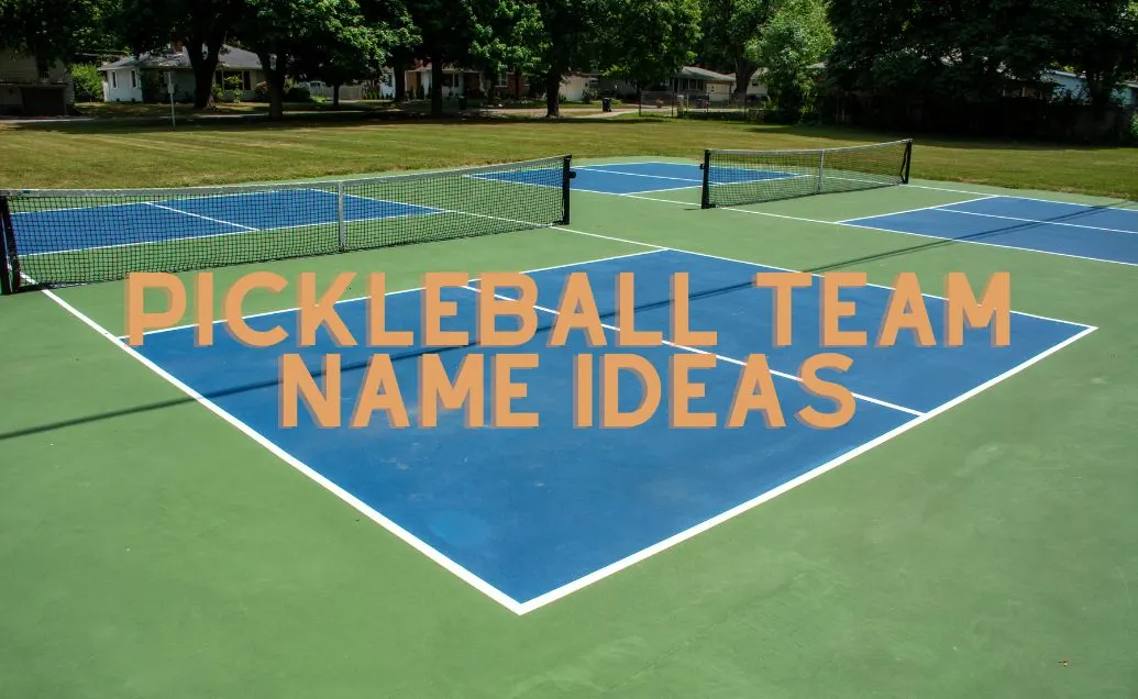 Pickleball Team Name Ideas