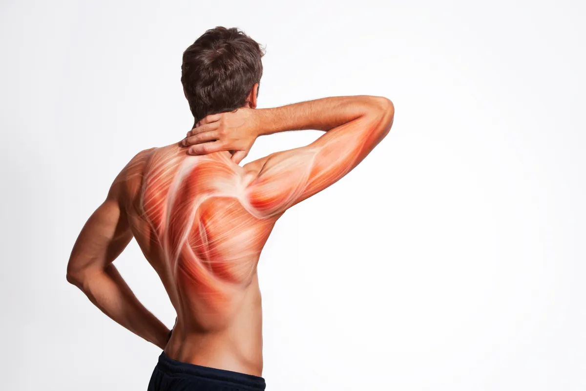 Which Muscles Does Pickleball Work